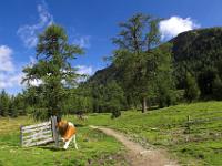 Almidylle oberhalb der Turracher Höhe